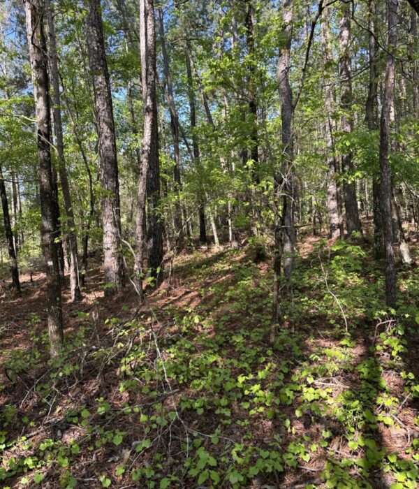 Parcel B021 Lot 68 Old Ferry Rd