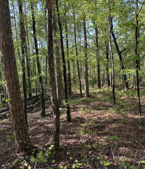 Parcel B021 Lot 68 Old Ferry Rd