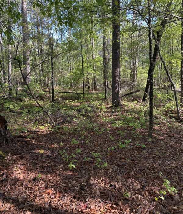 Parcel B021 Lot 68 Old Ferry Rd
