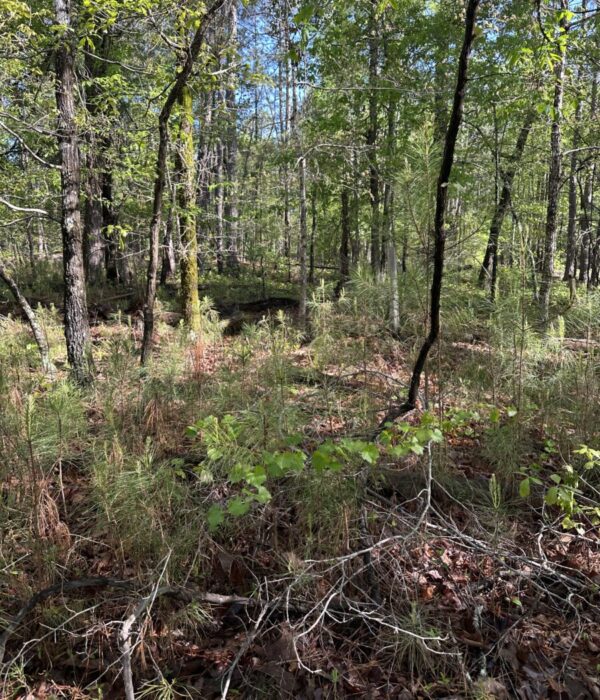 Parcel B021 Lot 68 Old Ferry Rd