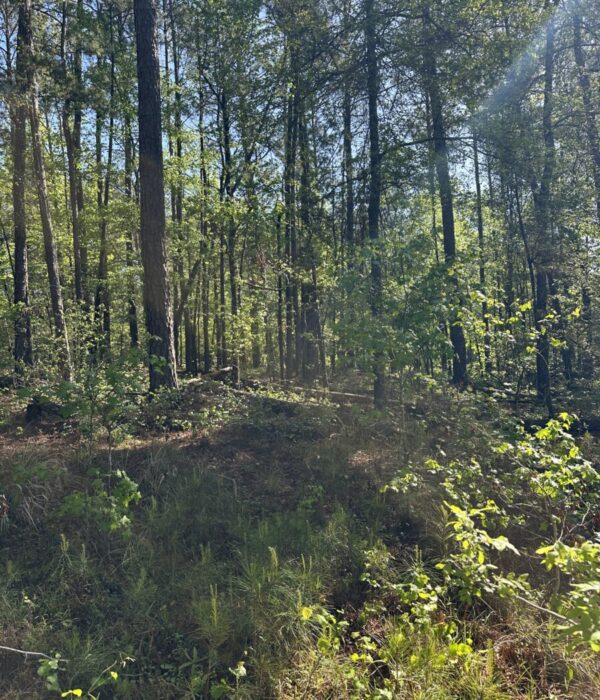 Lot 68 Old Ferry Road