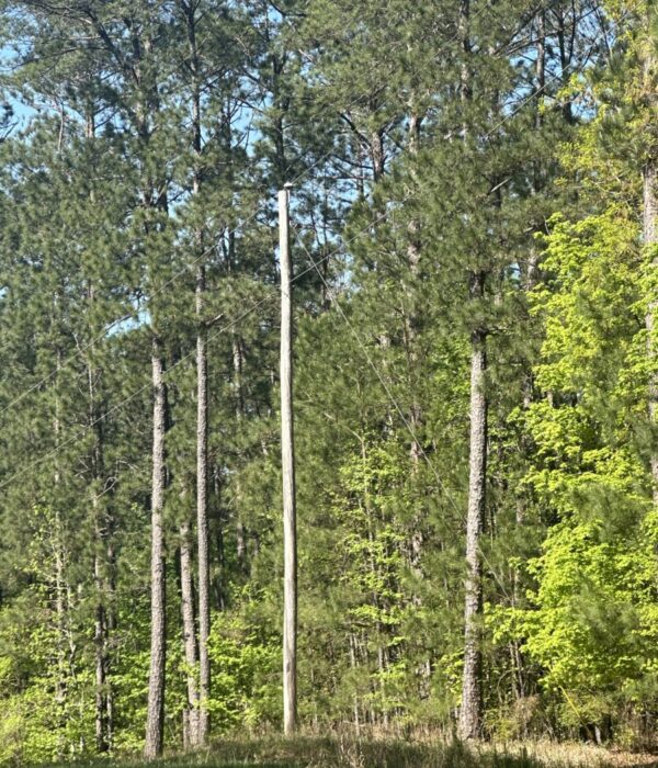 C152 Lot 550 Redwood Pass