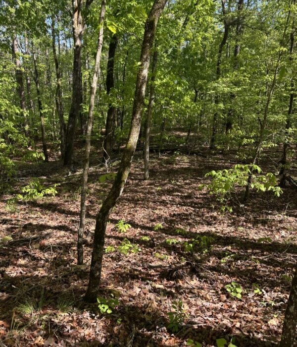 C152 Lot 550 Redwood Pass