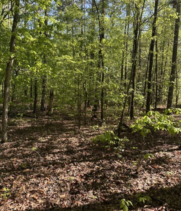 C152 Lot 550 Redwood Pass